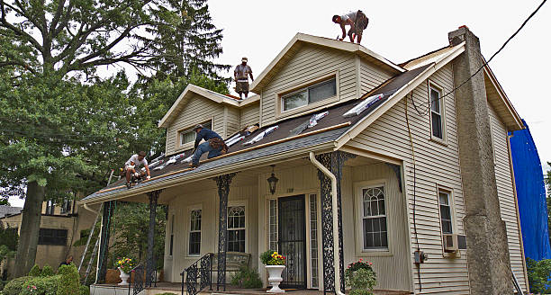 Best Roof Gutter Cleaning  in Williamstown, KY